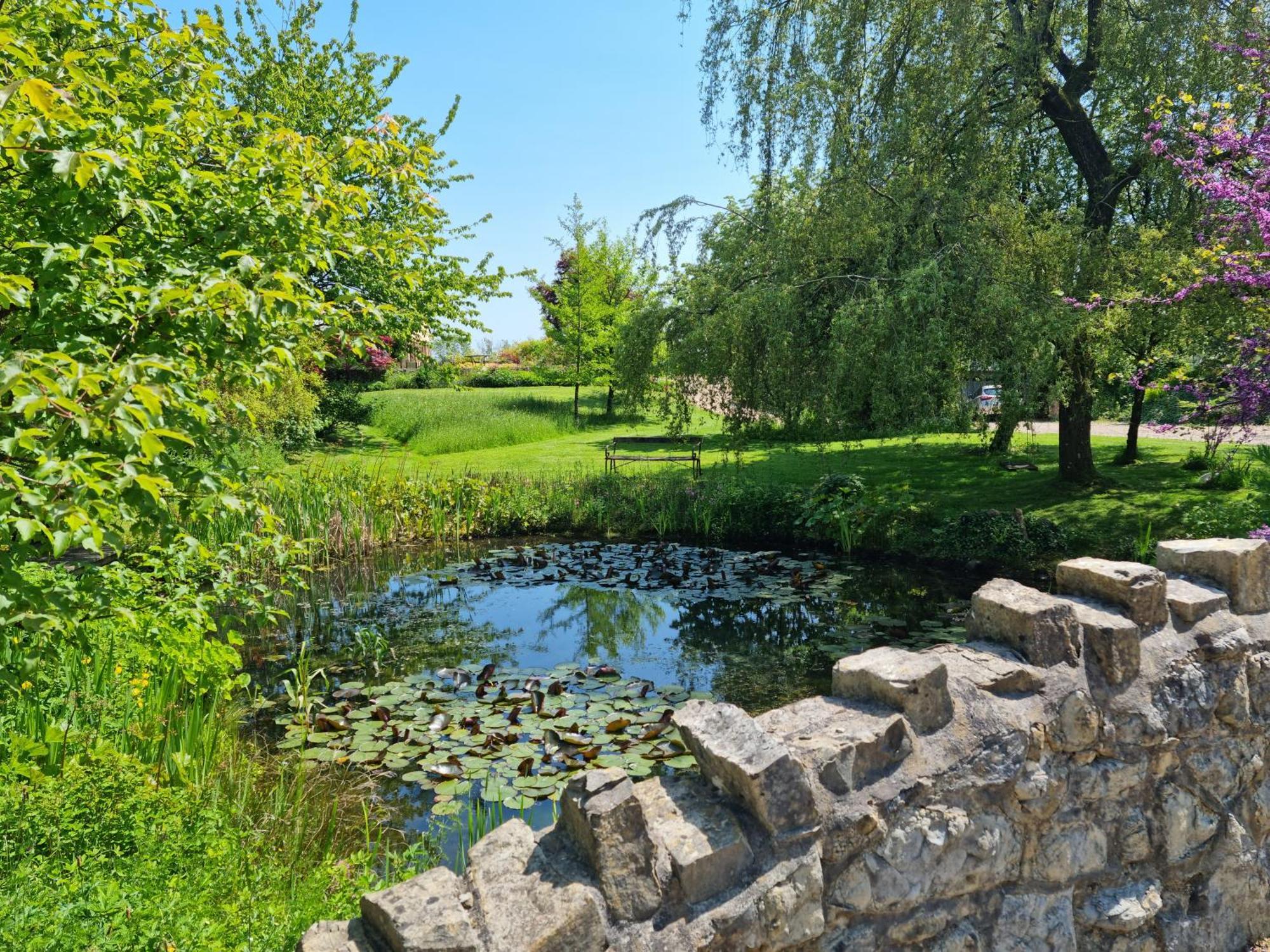 فندق Glyndwr Vineyard كاوبريدج المظهر الخارجي الصورة