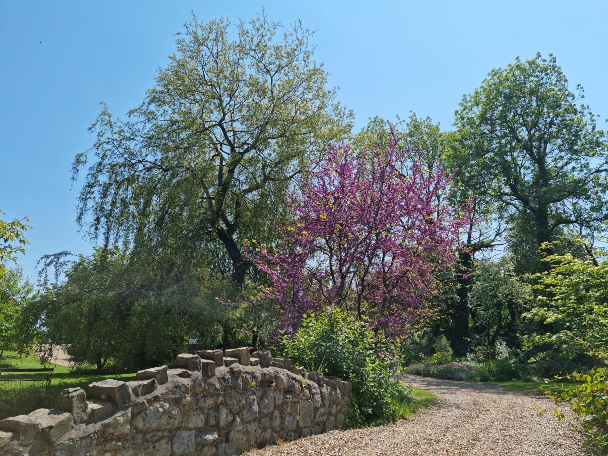 فندق Glyndwr Vineyard كاوبريدج المظهر الخارجي الصورة
